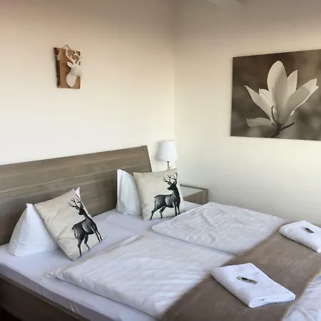 Harmonie Rust Hotel Hohegeiß