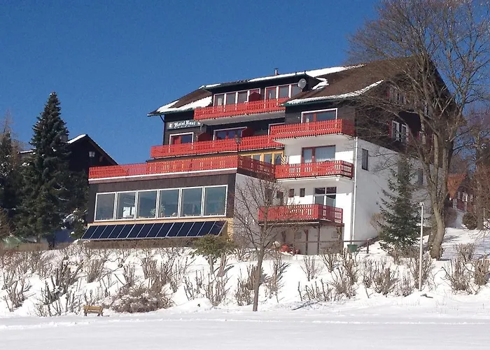 Hotel Harmonie Rust Hohegeiß