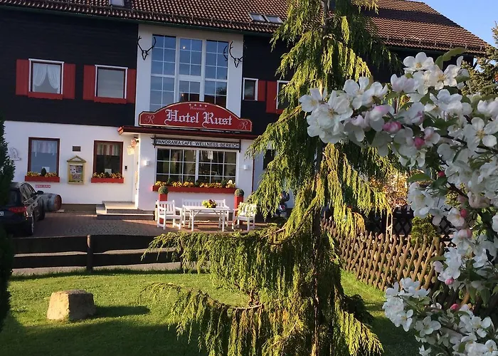 Harmonie Rust 4* Hohegeiß