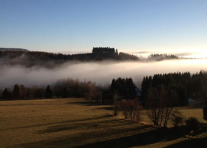 Harmonie Rust Hotel Hohegeiß