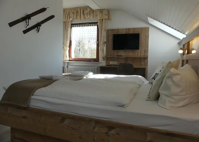 Hotel Harmonie Rust Hohegeiß